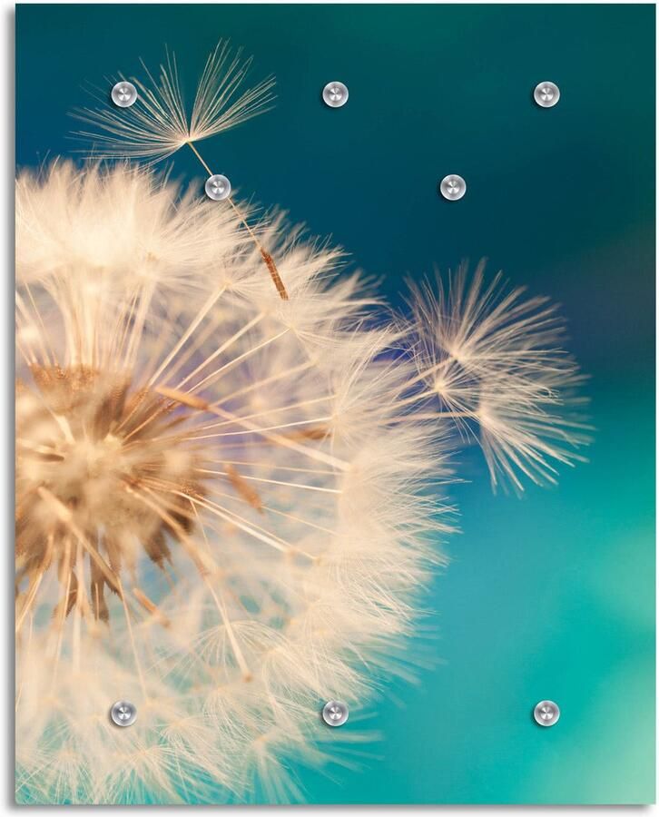 Wandkapstok van Acrylglas Retro Design Aluminium Frame Garderobe Dai