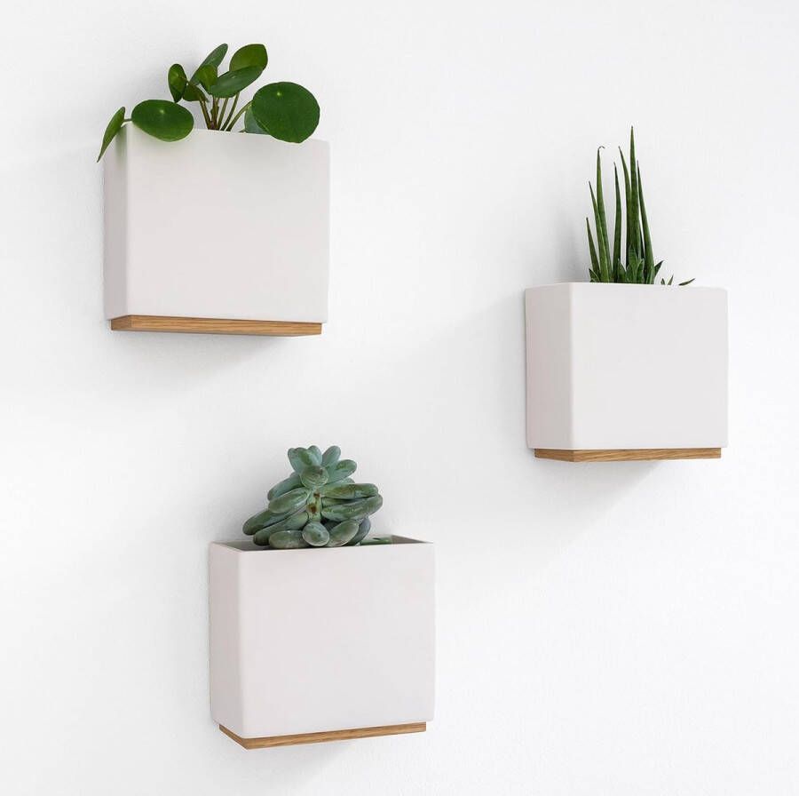 Wandvazen moderne hangende bloempotten voor aan de muur 3-delige overpotset van hoogwaardig hars voor kamerplanten kunstplanten bloemen enz. crème