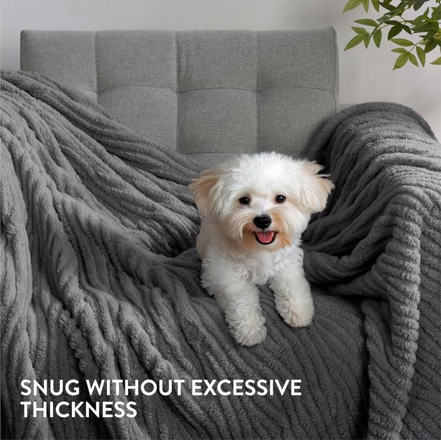 Warme en zachte sherpa fleece deken Knuffeldeken voor bed en sofa Wasmachinebestendig 150 x 220 cm Grijs
