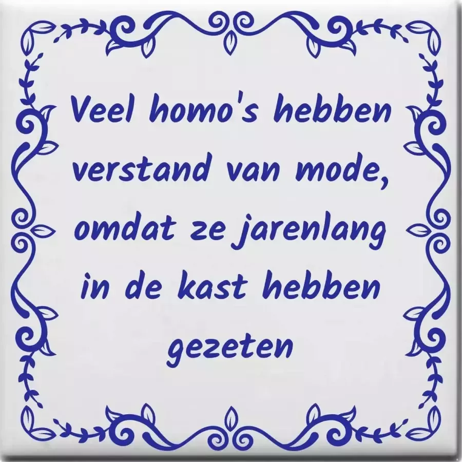 Wijsheden tegeltje met spreuk over Overig: Veel homos hebben verstand van mode omdat ze jarenlang in de kast hebben gezeten