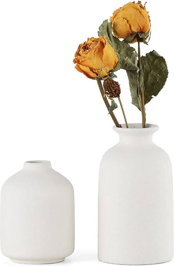 Witte keramische vazen set van 2 kleine bloemenvazen voor decoratie moderne rustieke boerderij huisdecoratie decoratieve vazen voor pampasgras gras en gedroogde bloemen ideeënrek tafel boekenkast