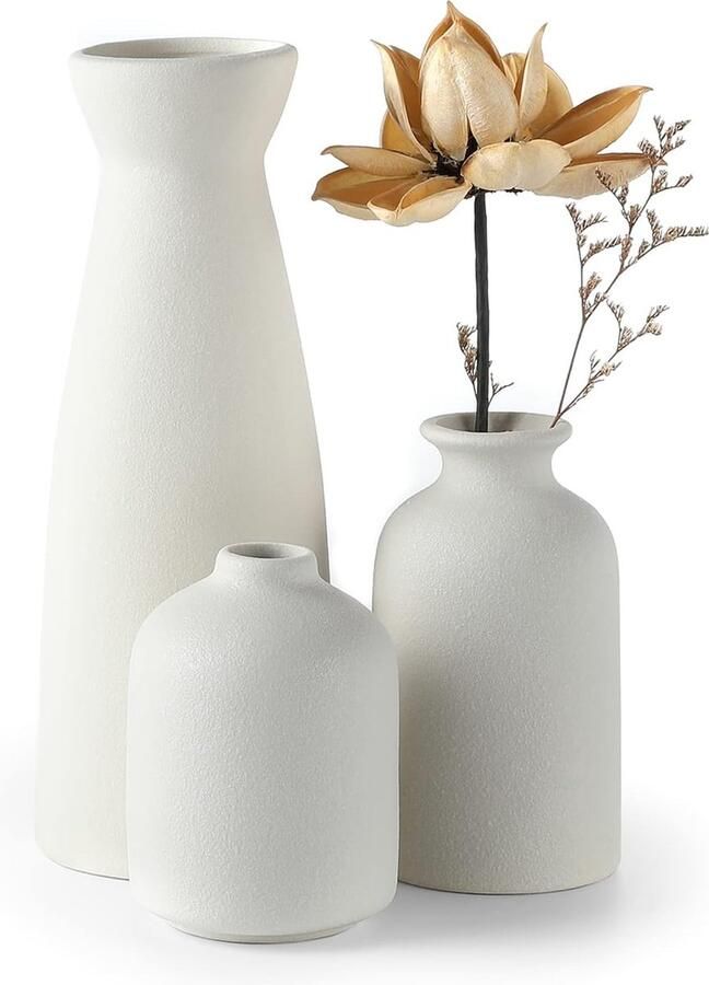 PolkaHome white keramische vazen set van 3 kleine bloemenvazen voor decoratie moderne rustieke woondecoratie op de boerderij decoratieve vazen voor pampagras en gedroogde bloemen ideeënplank tafel boekenplank schoorsteenmantel