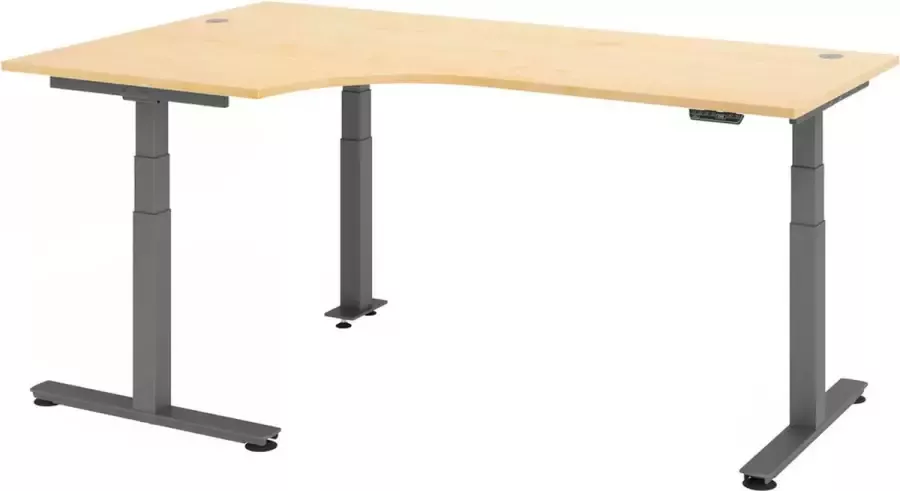 Hjh OFFICE PRO XDSM 82 G Bureau Esdoorn 200 x 120 Tafelhoogte I Elektrisch in hoogte verstelbaar