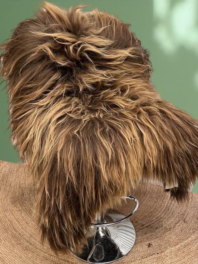 XL IJslandse Schapenvacht 130x90 cm Bruin camel kleur