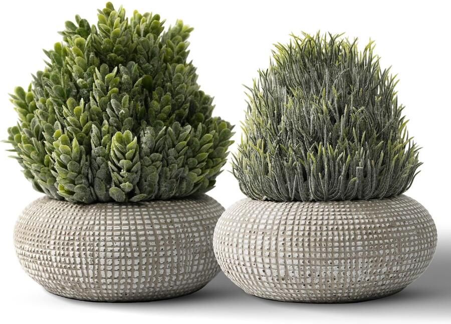 YVONNEYI 2 stuks (15 6 14 5 cm) kleine kunstplanten in betonnen potten kleine kunstplanten voor woonkamer badkamer slaapkamer keuken tafel kantoor kamerdecoratie