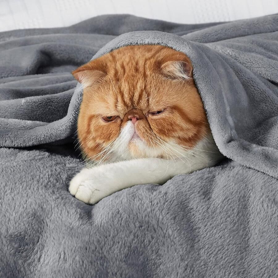 Zachte en Warme Fluffy Fleece Deken voor Bank en Bed XXL Formaat Grijs 220 x 240 cm