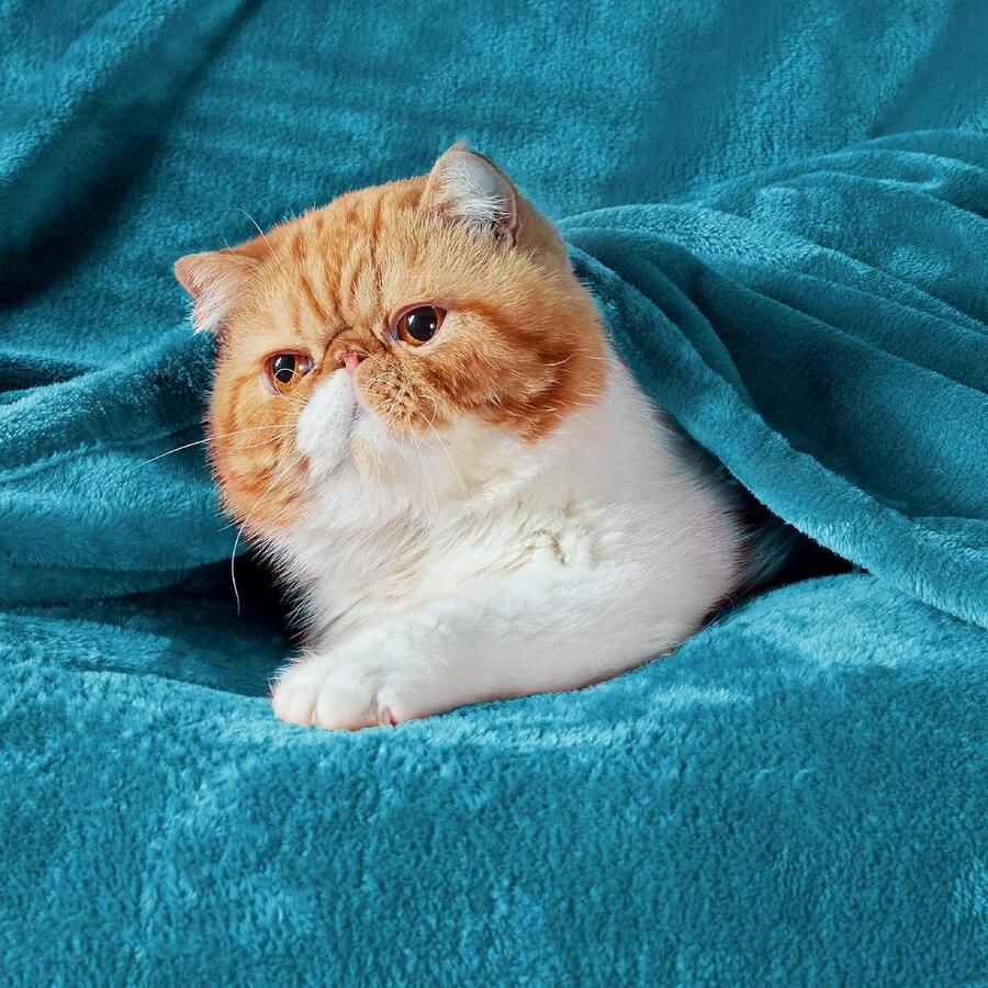 Zachte Fleece deken voor op de bank gezellige pluizige deken voor op bed warme eenpersoons plaid voor volwassenen groenblauw 130 x 150 cm