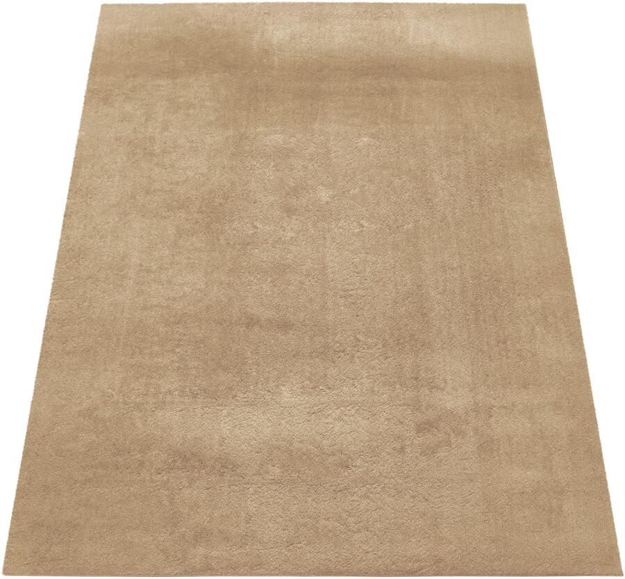 Zachte stapel vloerkleed zijdeachtig gevoel duurzaam polyester wasbaar en elegant veelzijdig voor woonruimtes