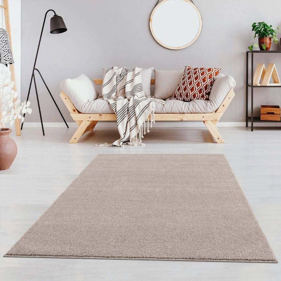 Zachte Vloerkleed Tapijt Vloerkleden Voor Woonkamer Slaapkamer Laagpolig Vloerkleed 80 x 150 cm Beige