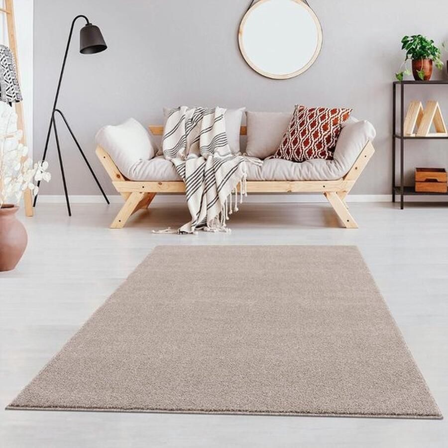 Zachte Vloerkleed Tapijt Vloerkleden Voor Woonkamer Slaapkamer Laagpolig Vloerkleed 80 x 150 cm Beige