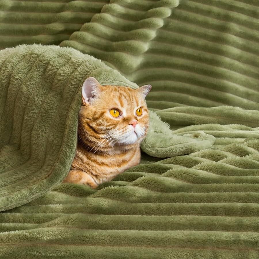 Zachte warme flanellen fleece plaid voor bank comfortabele corduroy pluizige deken kussen groen 50 x 60 inch