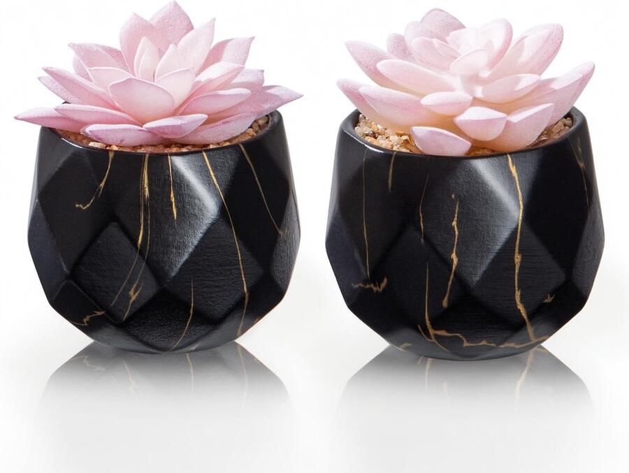ZENIDA Kunstplanten in Keramische Pot 2 Stuks Kunstmatige Vetplanten Nep Kamerplanten Decoratie voor Slaapkamer Woonkamer Badkamer Kantoor Bureau Zwarte Pot met Gouden Aderen