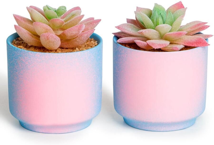 ZENIDA Kunstplanten in Keramische Potten 2-Pack Kunstmatige Vetplanten Nep Kamerplanten Decoratie voor Slaapkamer Badkamer Kantoor Bureau Roze Potten Roze