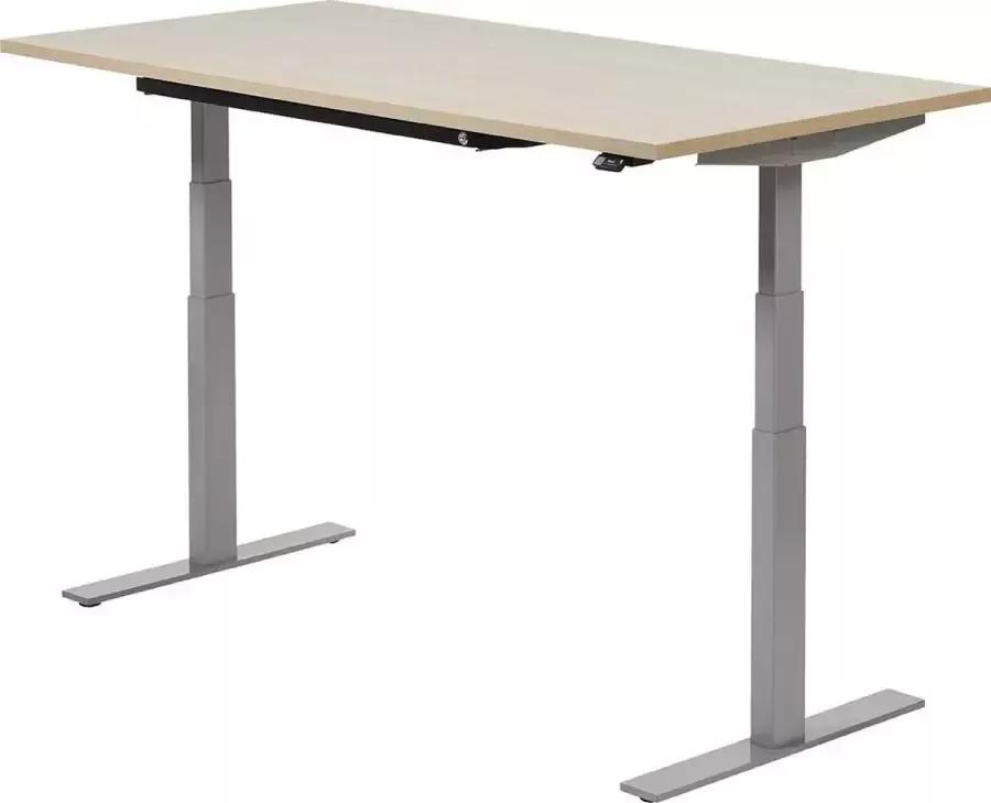 Zit sta bureau 120 x 80 cm Lindberg Alu grijs elektrisch