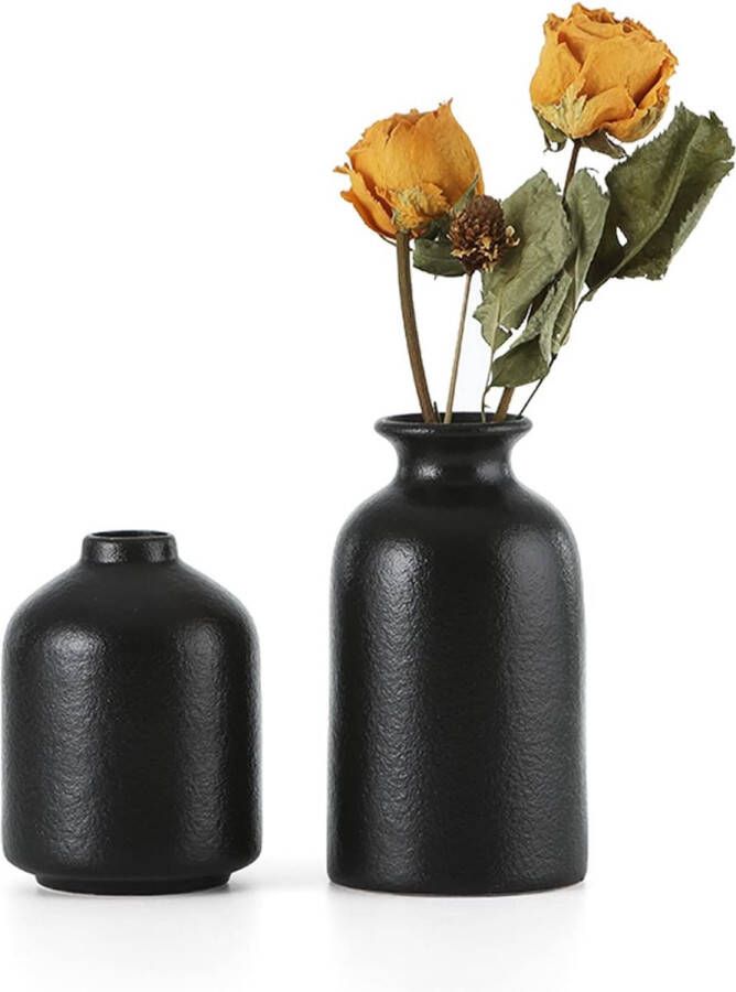 Zwarte keramische vazen set van 2 kleine bloemenvazen voor decoratie moderne rustieke boerderij huisdecoratie decoratieve vazen voor pampasgras gras en gedroogde bloemen ideeënrek tafel boekenkast