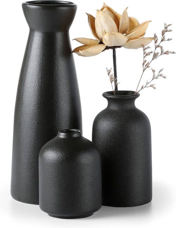 Zwarte keramische vazen set van 3 kleine bloemenvazen voor decoratie moderne rustieke boerderij huisdecoratie decoratieve vazen voor pampasgras gras en gedroogde bloemen ideeënrek tafel boekenkast mantel
