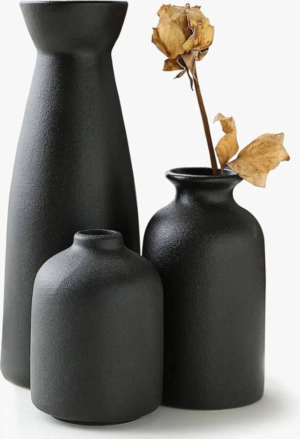 Zwarte keramische vazen set van 3 kleine bloemenvazen voor decoratie moderne rustieke woondecoratie op de boerderij decoratieve vazen voor pampagras en gedroogde bloemen ideeënplank tafel boekenplank schoorsteenmantel ingang noodlijdend dec