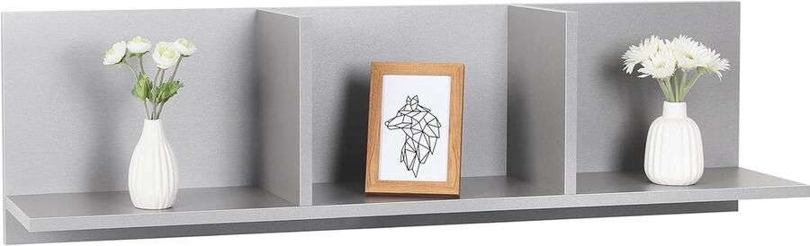 Zwevende Boekenkast Wandplank voor Decoratie 1 stuk Hout 1058x300x216 mm