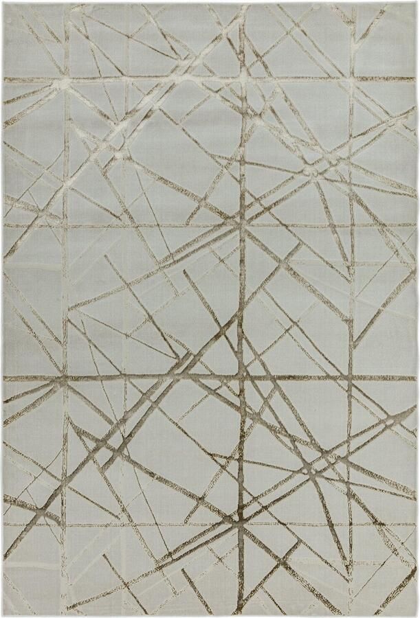 Eazy Living Easy Living Aurora-au13-Mica Vloerkleed 160x230 Rechthoek Laagpolig Tapijt Modern Grijs Zilver