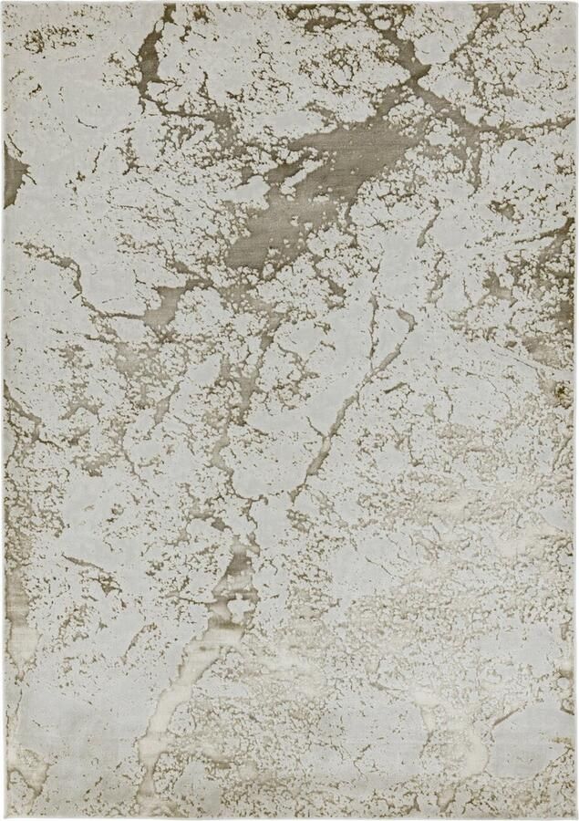 Eazy Living Easy Living Aurora-au16-Strata Vloerkleed 160x230 Rechthoek Laagpolig Tapijt Modern Grijs Zilver