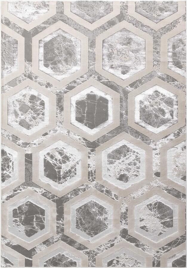 Eazy Living Easy Living Aurora-Crystal Vloerkleed 160x230 Rechthoek Laagpolig Tapijt Klassiek Meerkleurig Zilver