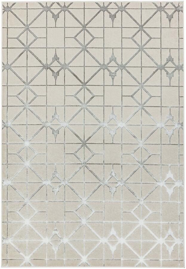 Eazy Living Easy Living Aurora-Lattice Vloerkleed 160x230 Rechthoek Laagpolig Tapijt Klassiek Beige Zilver