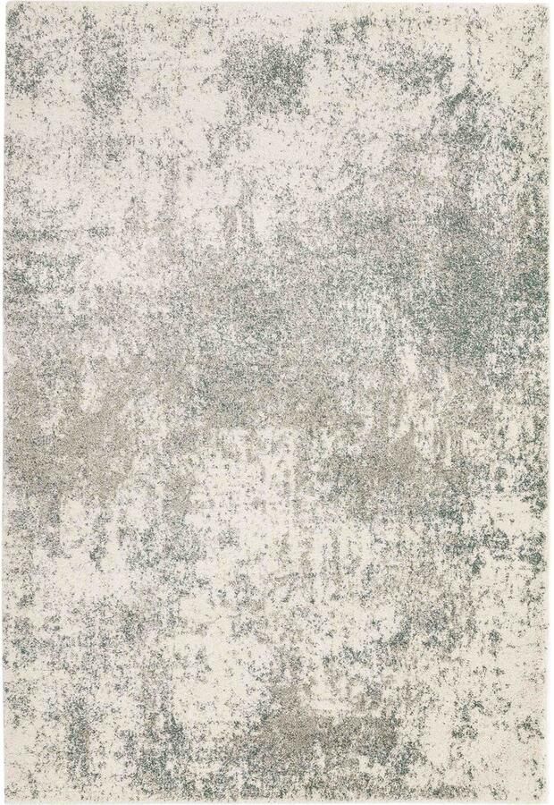 Eazy Living Easy Living Dream-Cream-Sage Vloerkleed 160x230 Rechthoek Laagpolig Tapijt Modern Beige Grijs