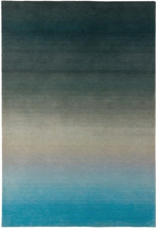 Eazy Living Easy Living Ombre-Runner-Blue Vloerkleed 200x290 Rechthoek Laagpolig Tapijt Modern Meerkleurig