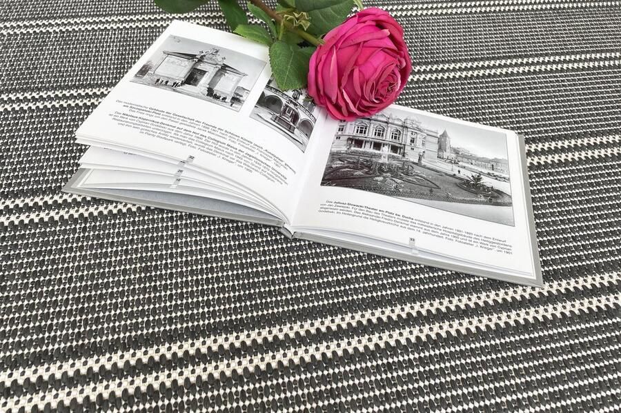 ECarpet Vloerkleed POGO EC2004 Antraciet platgewoven voor BINNEN & BUITEN 80cm x 140cm