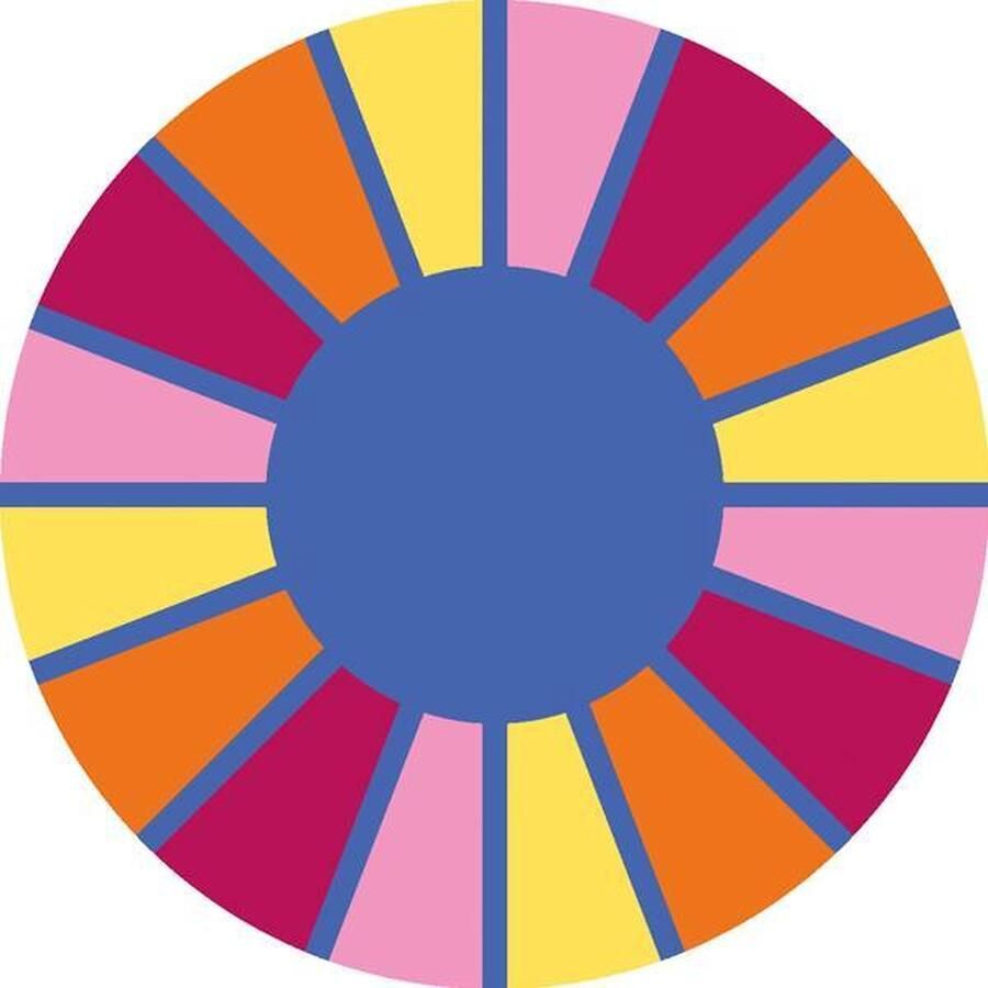 Eduplay Tapijt segment rond 200 cm