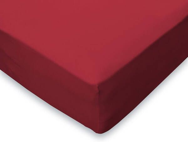 Eleganzzz Hoeslaken Jersey Stretch 35cm Hoekhoogte Rood Hoeslaken 120 130 140x200cmcm Twijfelaar Tweepersoons 100% Katoen Hoeslakens