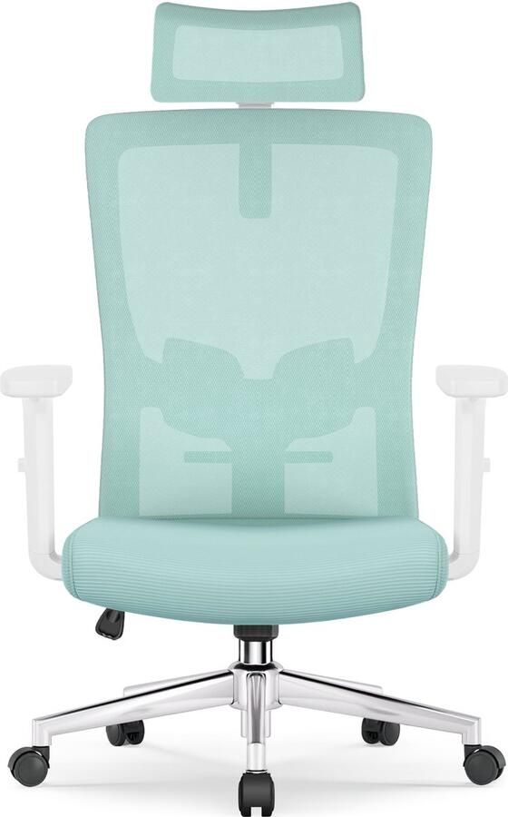 Elekiatech Ergonomische Bureaustoel Bureaustoelen voor Volwassenen met Verstelbare Hoofdsteun Armleuningen en Lendensteun 150 Kg Blauwgroen