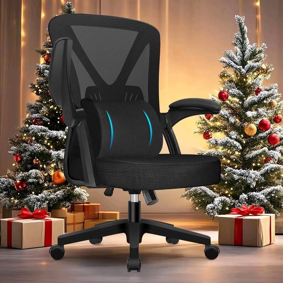 Elekiatech Ergonomische Bureaustoel Bureaustoelen voor Volwassenen opklapbare armleuningen-150 Kg Zwart - Foto 3