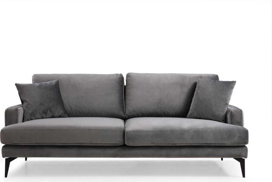 Emob Comfortabele en stijlvolle 3-zitsbank met beukenhouten frame Grijze kleur - Foto 2
