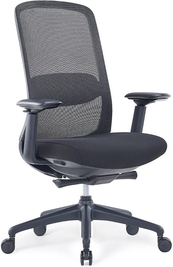 Ergofy Ergonomische bureaustoel Comfort 4d armleggers Mesh netrug