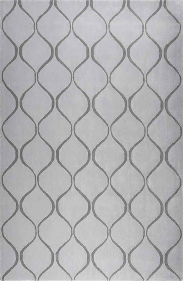 Esprit Aramis Laagpolig vloerkleed 200x300 cm grijs