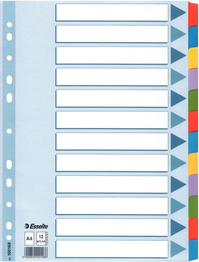 Esselte 100169 indextab Blanco tabbladindex Meerkleurig