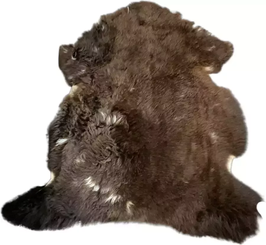 Euroskins Schapenvacht Vloerkleed Bruin 95x85 cm Ben