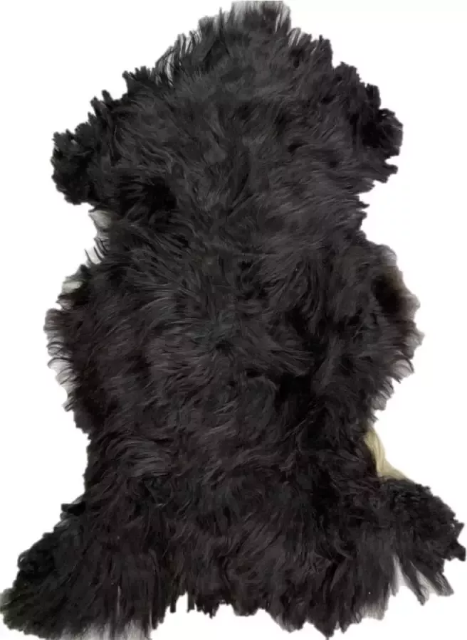 Euroskins Schapenvacht Vloerkleed Zwart 130x83 cm Bep