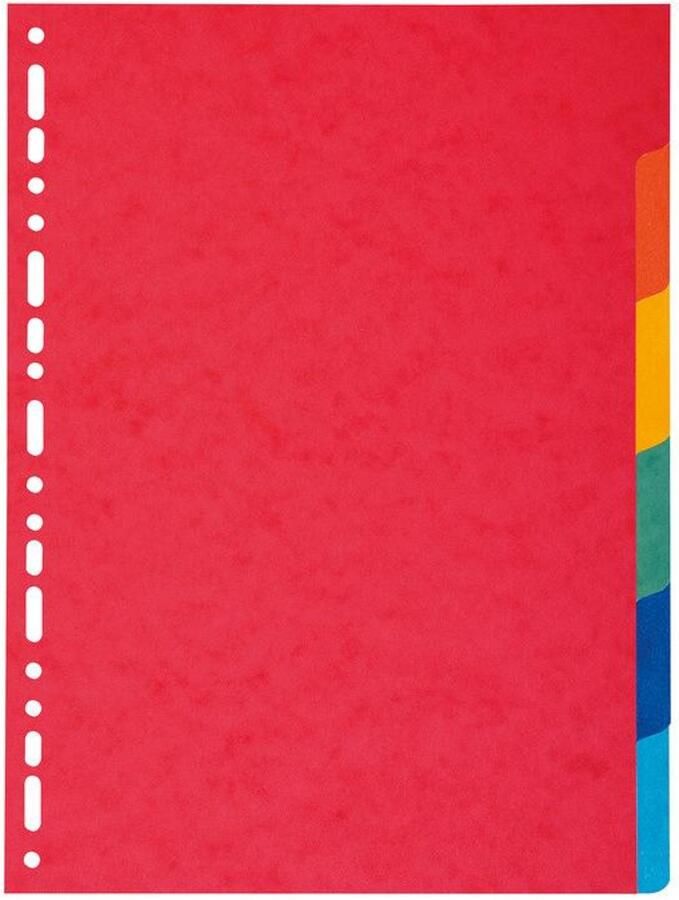 Exacompta 2006E schutkaart Meerkleurig