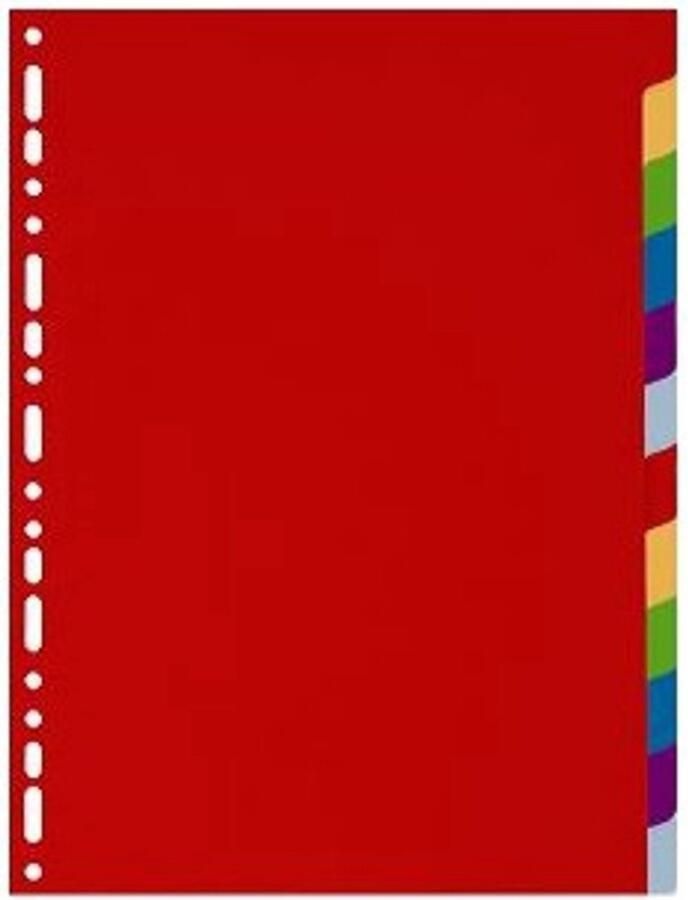 Exacompta 4912E schutkaart Meerkleurig