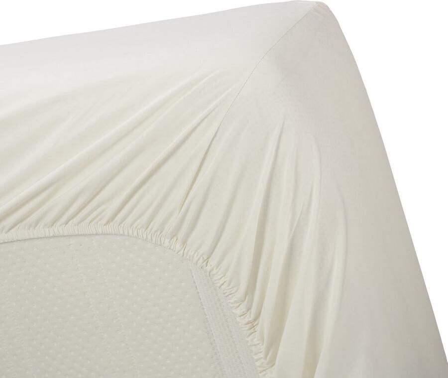 Excellent Fitted Sheets Excellent topper hoeslaken katoen creme 120x200 (twijfelaar) fijn geweven en ademend heerlijk zacht en comfortabel perfecte pasvorm zalig slapen