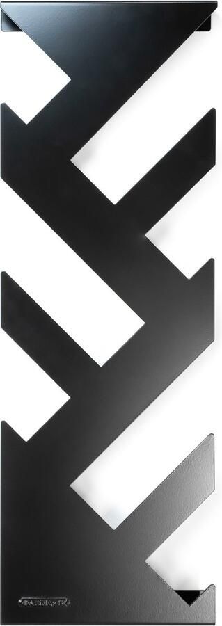 FABRIQ-S Stalen Kapstok The Twig Zwart Metaal