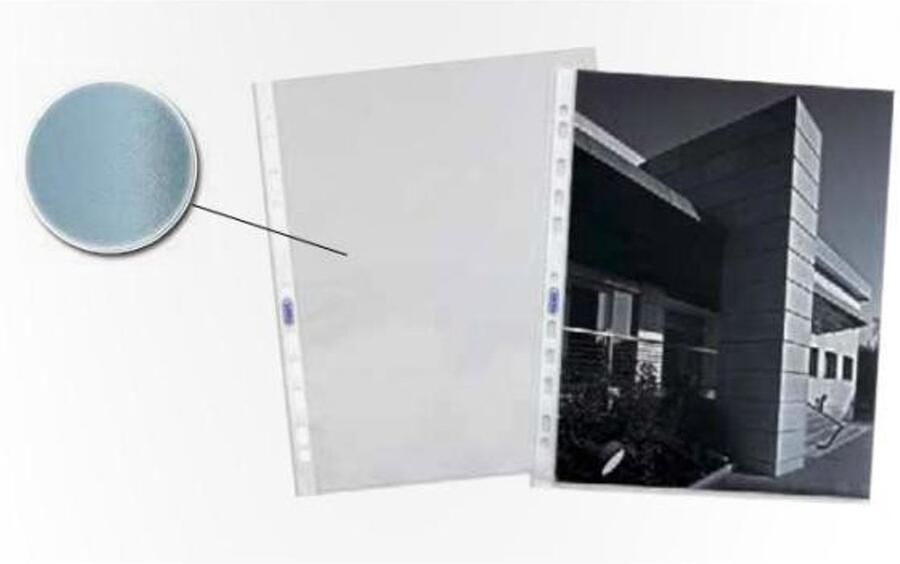 FAVORIT Linear sheet protector 210 x 297 mm (A4) Polypropyleen (PP) 100 stuk(s)