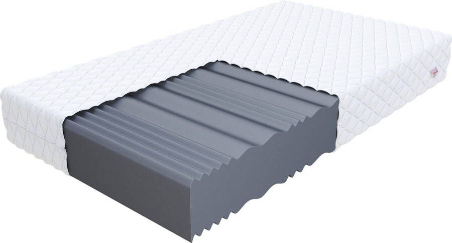 FDM LIVIA MAX PLUS Matras 100x200 cm Koudschuim Matrassen Eenpersoons Hoogte 26 cm H4 Dubbelzijdig 7 zones Afritsbaar hoes wasbaar Öko-Tex gecertificeerd Antiallergisch en Ademend
