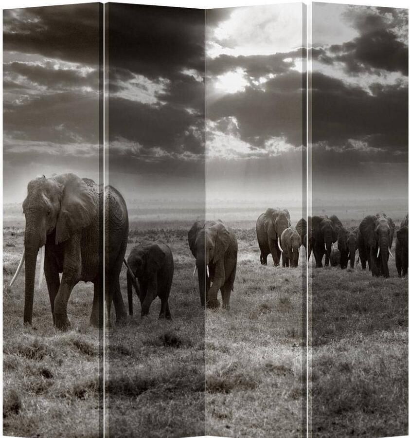 Fine Asianliving Kamerscherm B160xH180cm 4 Panelen Olifantenkudde Zwart-Wit