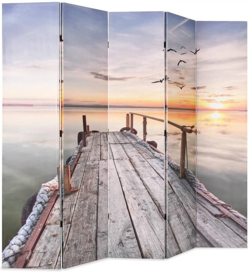 FIONERA Kamerscherm inklapbaar meer 200x170 cm