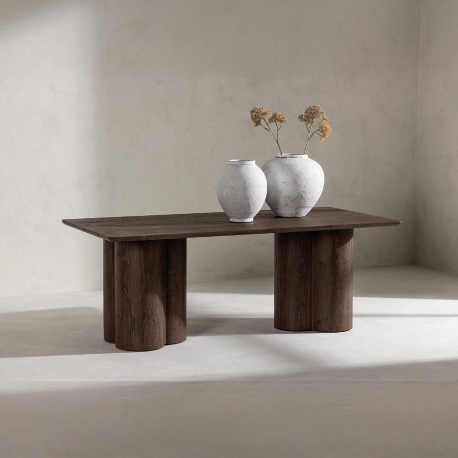 Fjôrd Salontafel Donkerbruin Rechthoek 120x60x45cm Olivia