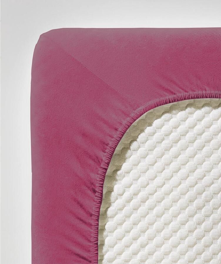 Fleuresse 140 x 190 160 x 220 cm XXL hoeslaken Jersey stretch hoeslaken gemaakt van katoen en elastaan Made in Germany wasbaar op 60 graden geschikt voor matrassen tot 40 cm hoog framboos