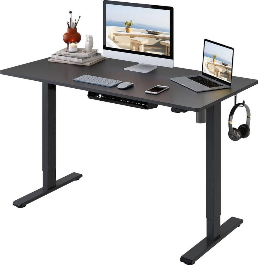 FLEXISPOT Basic staand bureau elektrisch in hoogte verstelbaar 2 etages met monomotor 2 toetsen eenvoudige installatie 100 x 60 x (73-121) cm (zwart frame + zwarte plaat)